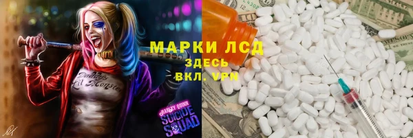 тгк Инта