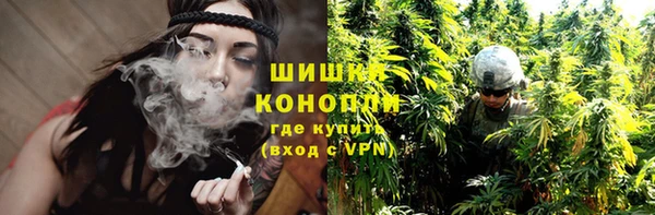 тгк Инта