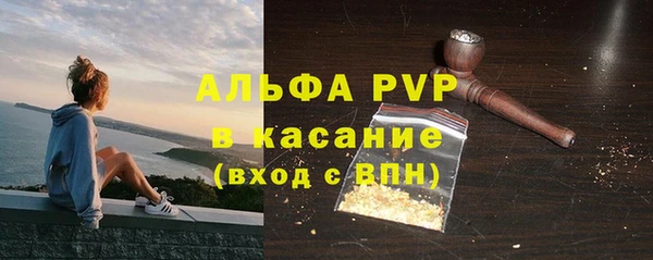 индика Ивантеевка