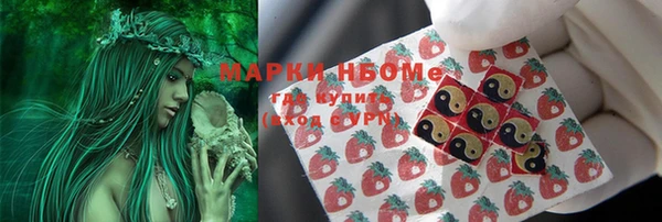 ALPHA-PVP Инсар