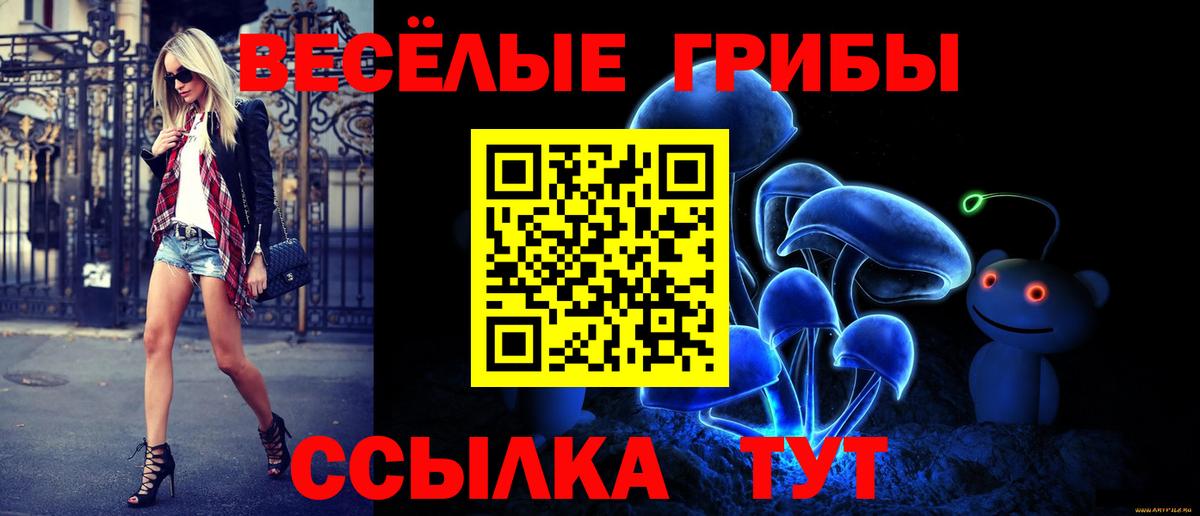 Псилоцибиновые грибы Psilocybine cubensis Зерноград